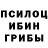 Псилоцибиновые грибы Cubensis Numeron