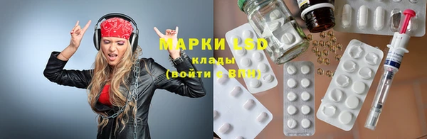 прущие грибы Тутаев