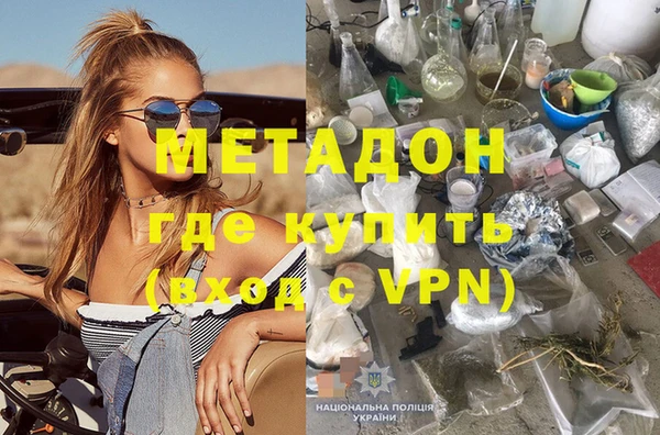 прущие грибы Тутаев
