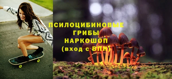 МДМА Туринск