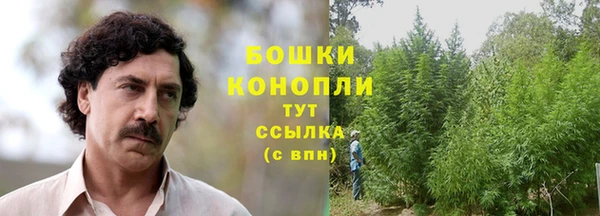 МДМА Туринск
