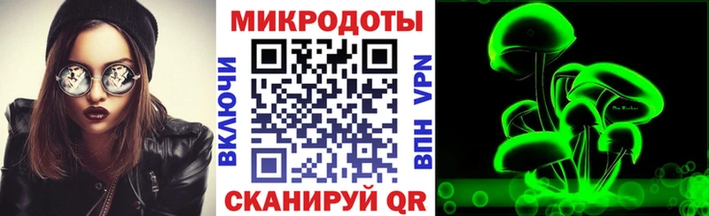 MEGA зеркало  Южно-Сухокумск  Псилоцибиновые грибы мицелий 